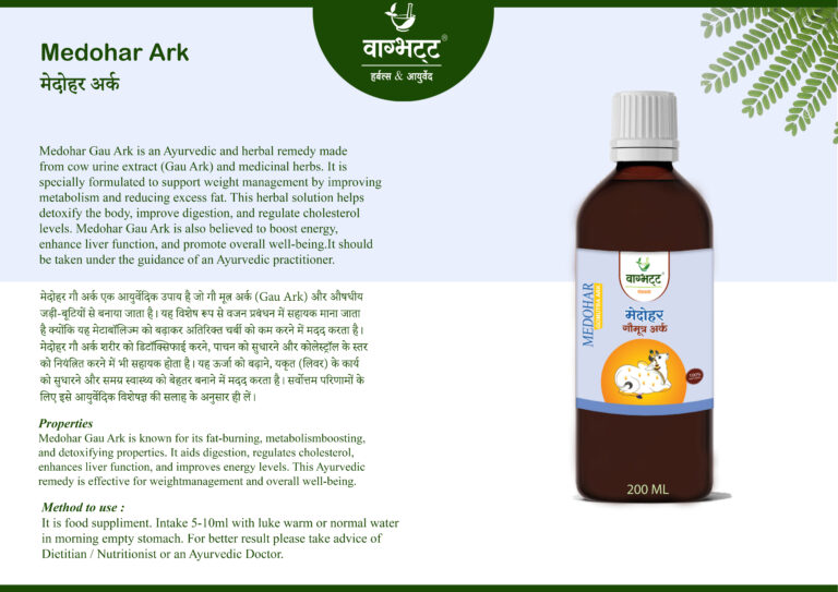 8 MEDOHAR ARK